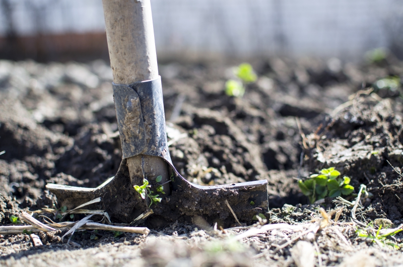 jardinerie-LE BROC-min_equipment-2047314