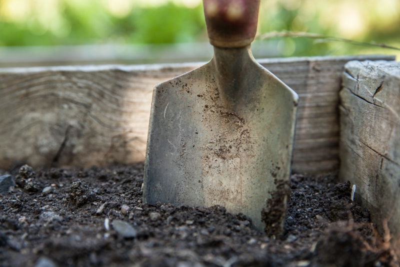 jardinerie-LE BROC-min_garden-1176406